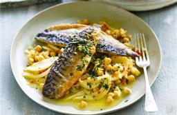 Mackerel
