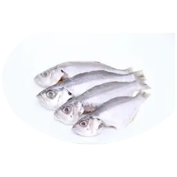 Silver Fish (Verleo)